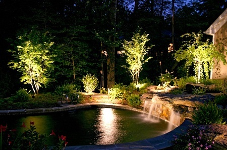 Подсветка деревьев и кустов в саду