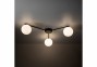 Потолочная люстра ELTON 3 TK-Lighting 10261 0