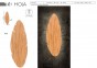 Бра HOJA L TK-Lighting 5565 2