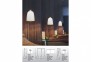 Підвісний світильник Pavon 1 ZumaLine P0455-01A-S8RX 0