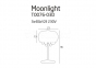 Настільна лампа MOONLIGHT Maxlight T0076-03D 1