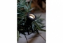 Садовий світильник Nordlux Spotlight LED 20788303 1