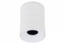 Точечный светильник SPARK LED 10W CCT WH TK-Lighting 18168 0