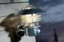 Настенный светильник Vejers Sensor Nordlux 25101031 0