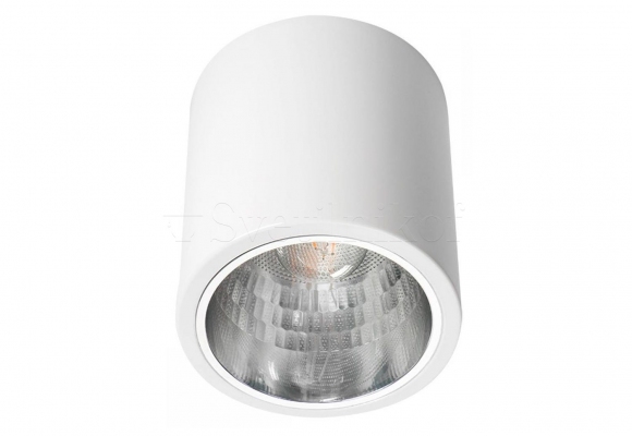 Точечный светильник NIKOR DLP-75-W Kanlux 7211