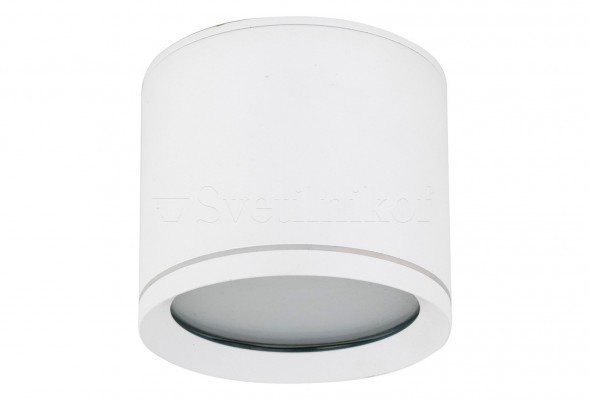 Точковий світильник VIVO IP44 WH TK-Lighting 10595