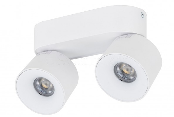 Точечный светильник SPARK LED 20W CCT WH TK-Lighting 18171