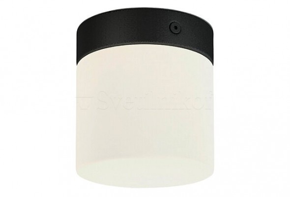 Потолочный светильник для ванной CAYO Nowodvorski 8055