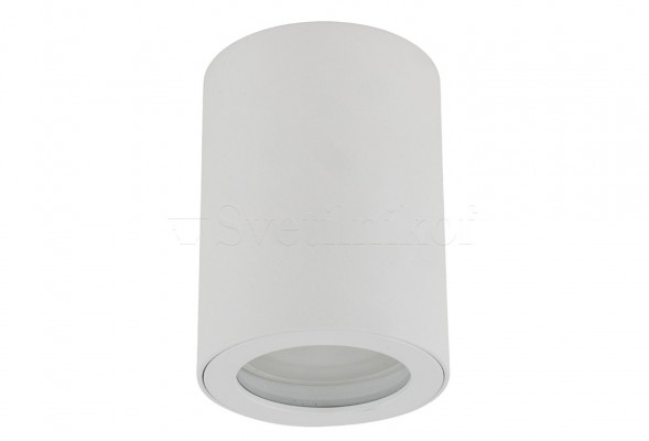 Точковий світильник LIGNO IP44 WH TK-Lighting 10932