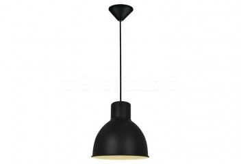 Підвісний світильник ELSTRA ZumaLine P16151-BK