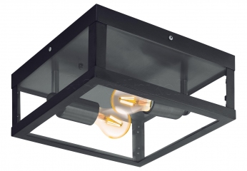 Настінно-стельовий світильник Eglo ALAMONTE 94832