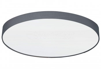 Стельовий світильник PASTERI PRO Ø98 GY Eglo 62422