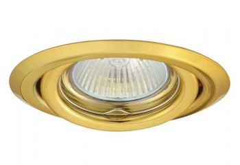 Точковий світильник ARGUS CT-2115-G Kanlux 304