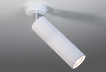 Спот ACCENT L WH Imperium Light 591245.01.01