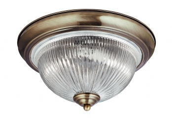 Плафон потолочный для ванной Searchlight American Diner 4370