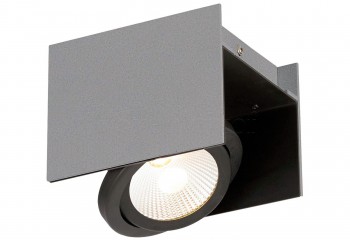 Стельовий світильник VIDAGO PRO 1 LED 4000K SI Eglo 62967