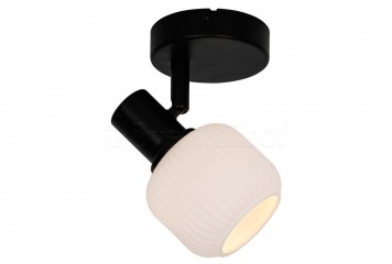 Настенно-потолочный светильник STEM ZumaLine R5021009A-1R