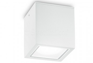 Вуличний стельовий світильник Techo 9cm WH Ideal Lux 251561