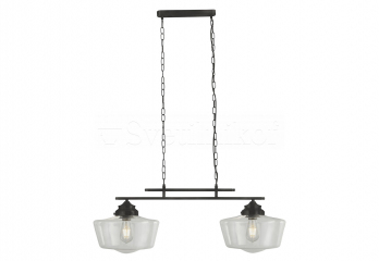 Подвесной светильник School House 2 Searchlight 8078-2BK