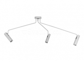 Потолочный светильник  Nowodvorski EYE SUPER white 3L 6491