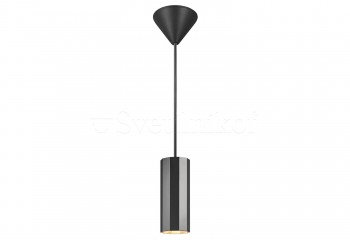 Підвісний світильник ALANIS 1 BK Nordlux 2213413003