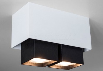 Точечный светильник R2D2 2 WH/BK Imperium Light 178212.01.05