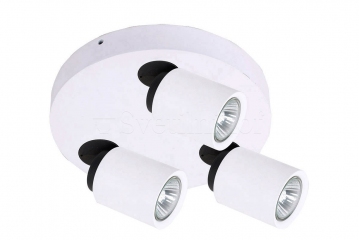 Спот потолочный Italux Lucien FH31313B