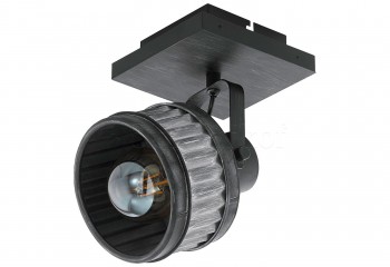 Настенно-потолочный светильник TURROCK Eglo 43444