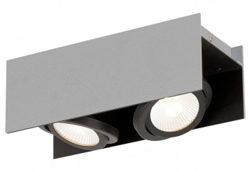 Стельовий світильник VIDAGO PRO 2 LED 3000K SI Eglo 62948