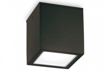 Вуличний стельовий світильник Techo 15cm BK Ideal Lux 251530