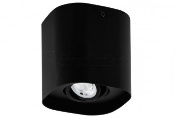 Точковий світильник CAMINALES-Z 1 Eglo 99673