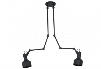 Потолочный светильник TAKELEY 2 BK Eglo 43562