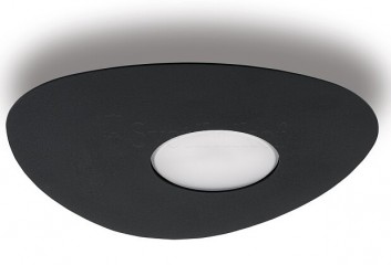 Потолочный светильник ORGANIC 1 BK Nowodvorski 8303