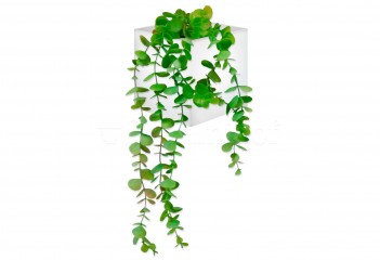 Настенное кашпо WALLY 12 Newgarden JDNWAP012BXNLNW