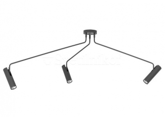 Потолочный светильник Nowodvorski EYE SUPER graphite 3L 6497