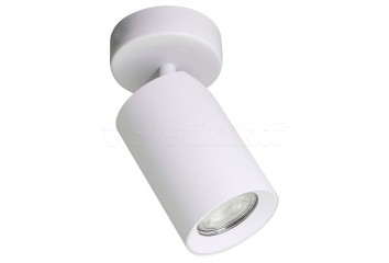 Спот TORE ZumaLine TLS006-WH