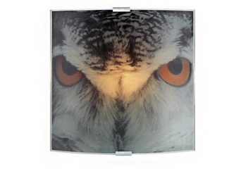 Настенный светильник MARKSLOJD OWL 105242