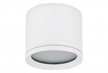 Точковий світильник VIVO IP44 WH TK-Lighting 10595