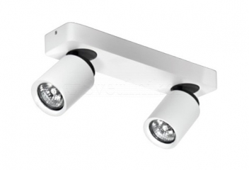 Спот TOMI 2 Azzardo FH31312A11-WH/GR