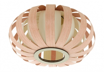 Потолочный светильник Eglo ARENELLA 96654