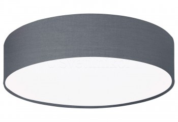 Стельовий світильник PASTERI PRO Ø38 GY Eglo 62385