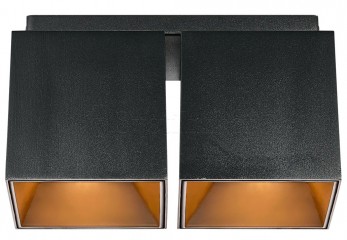 Точковий світильник ETHAN 2 BK Nordlux 2110410103