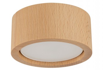 Точковий світильник EVE WOOD GX53 TK-Lighting 10123