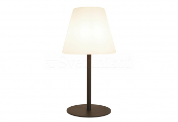 Настольная лампа уличная LED Outdoor Searchlight EU3046GY