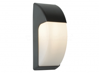 Настінний світильник Searchlight Outdoor 3231GY