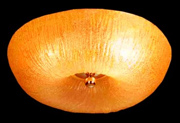 Потолочная люстра BUTTON 60 cm GO Amplex 670