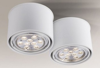 Точечный светильник MIKI 2 G53 WH Shilo 7021