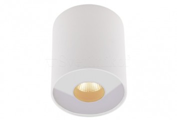 Точечный светильник PLAZMA IP54 WH Maxlight C0152