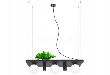 Подвесная люстра PLANT SHELF ZumaLine 5555