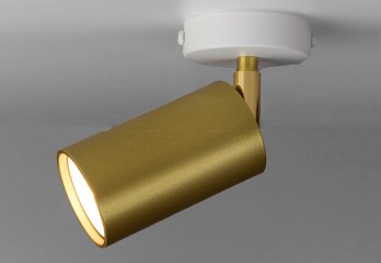 Спот ACCENT GO/WH Imperium Light 591145.12.01